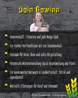 Dein Gewinn