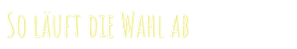Ablauf der Wahl
